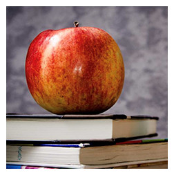 School Offerings area